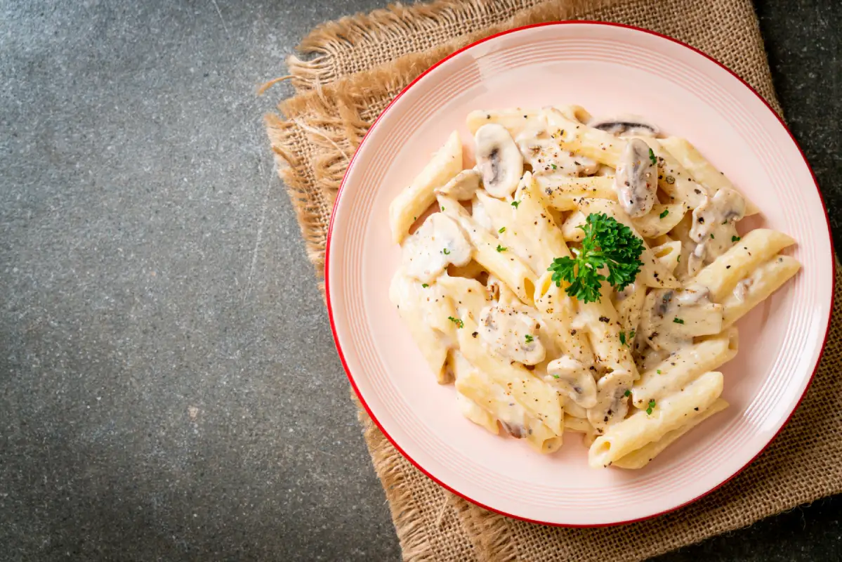 Creamy Chicken and Noodles